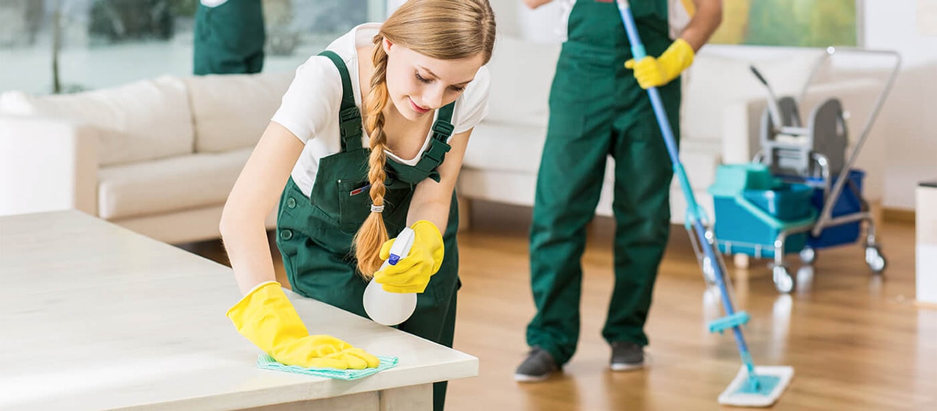 Cleaning Services